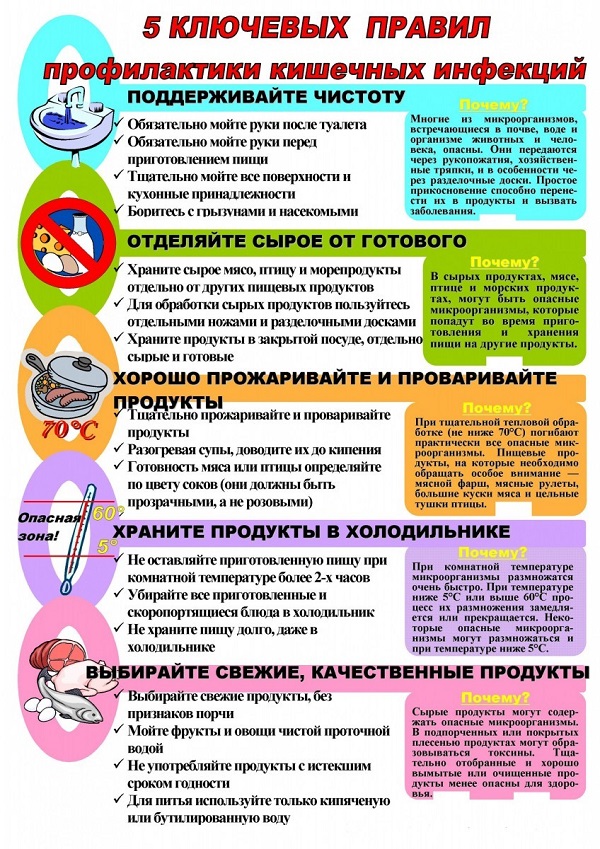 Профилактика кишечных инфекций - Средняя школа д. Вистычи
